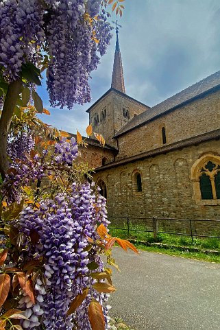 Eglise Romane Clunisienne de Romainmôtier Vaud - Suisse